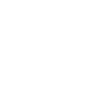 Honda Logo White