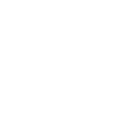 Lexus Logo White