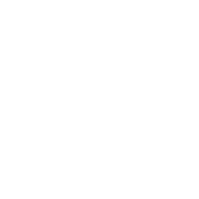 NIssan Logo White