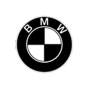 BMW Logo White copy